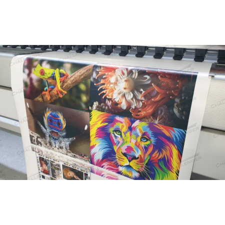 Рулонный УФ принтер Phaeton Galaxy UD-3200, Ricoh Gen 5