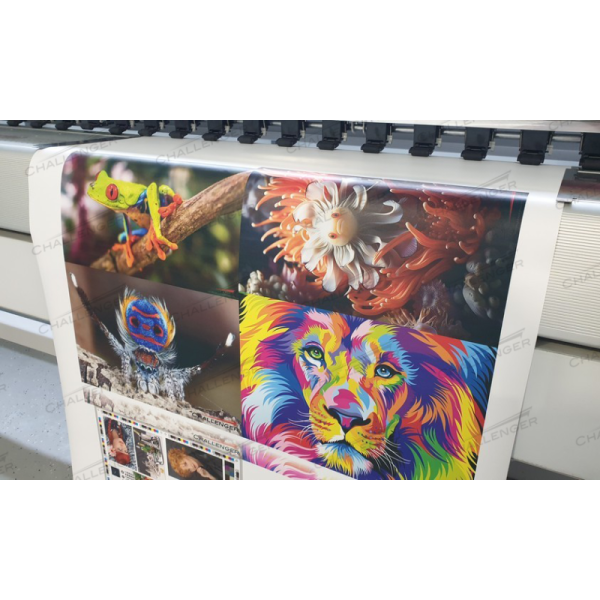 Рулонный УФ принтер Phaeton Galaxy UD-3200, Ricoh Gen 5