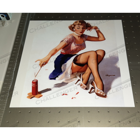 Сувенирный УФ принтер Galaxy F96, EPSON i3200