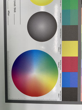 Рулонный УФ принтер Allwin 3203 UVA, Konica9888